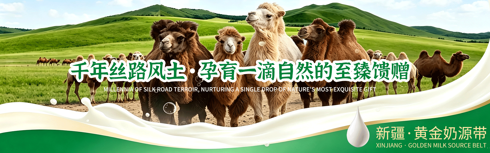 新疆驮中驼生物科技有限公司