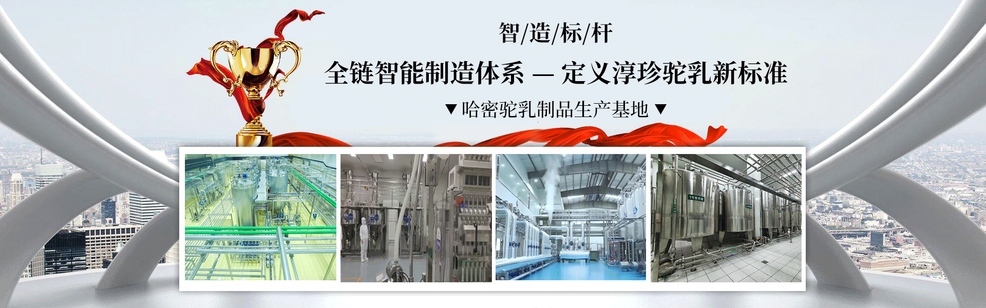 新疆驮中驼生物科技有限公司